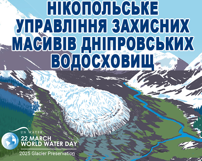 Вода — основа життя: Чому Всесвітній день води важливий для кожного