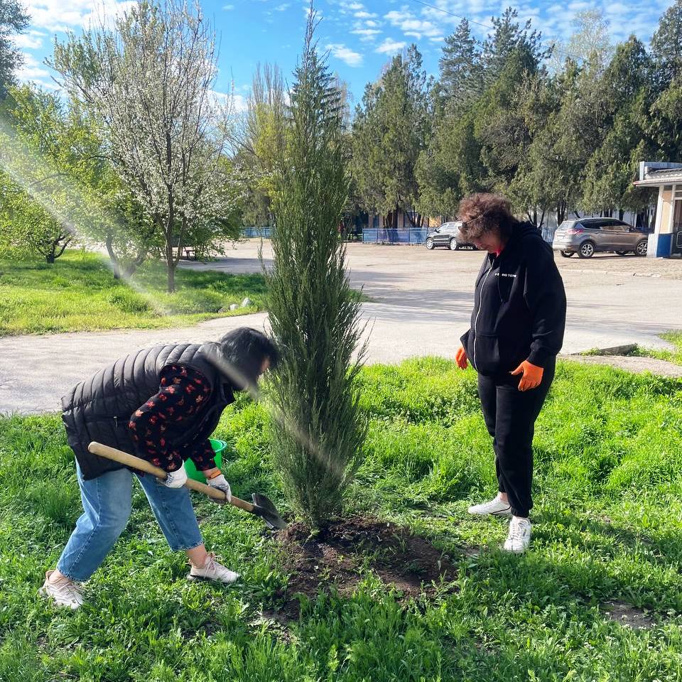 Озеленення території Нікопольського УЗМДВ